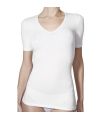 CAMISETA PERFECT DAY COTTON MANGA CORTA